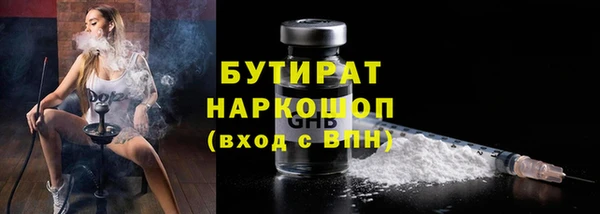 стаф Гатчина