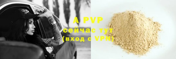 дурь Пересвет