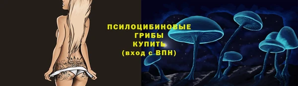 дурь Пересвет