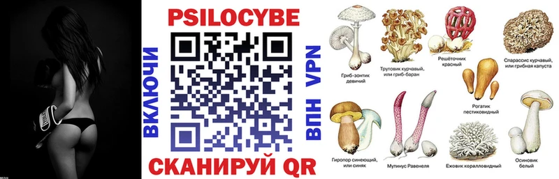 Галлюциногенные грибы мухоморы  Полярный 